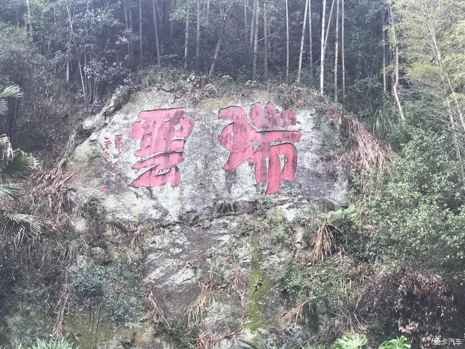 【行行出状元,处处有金杯】猪年大吉,我的同行