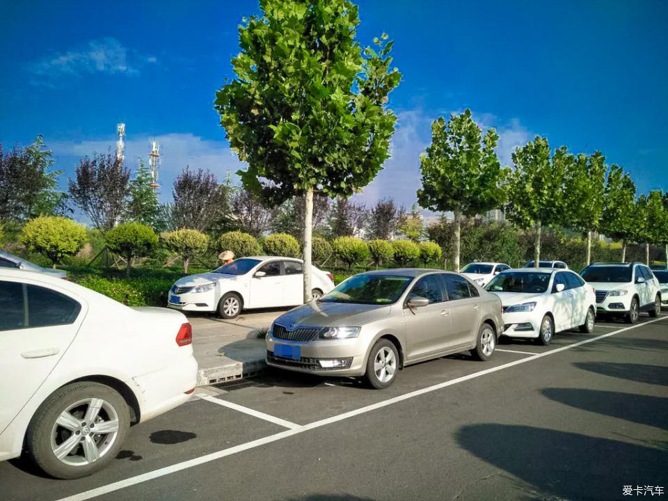 路边停车位停好车,下面就是龙湾公园,小昕打卡.