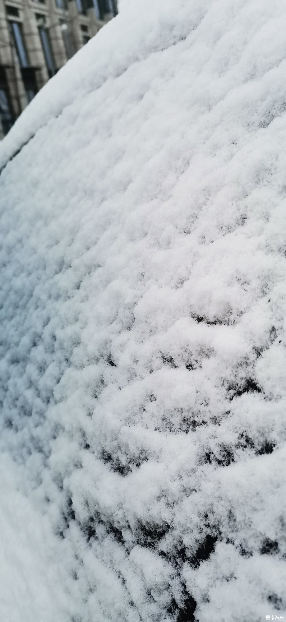 【寻雪】初冬的第一场雪