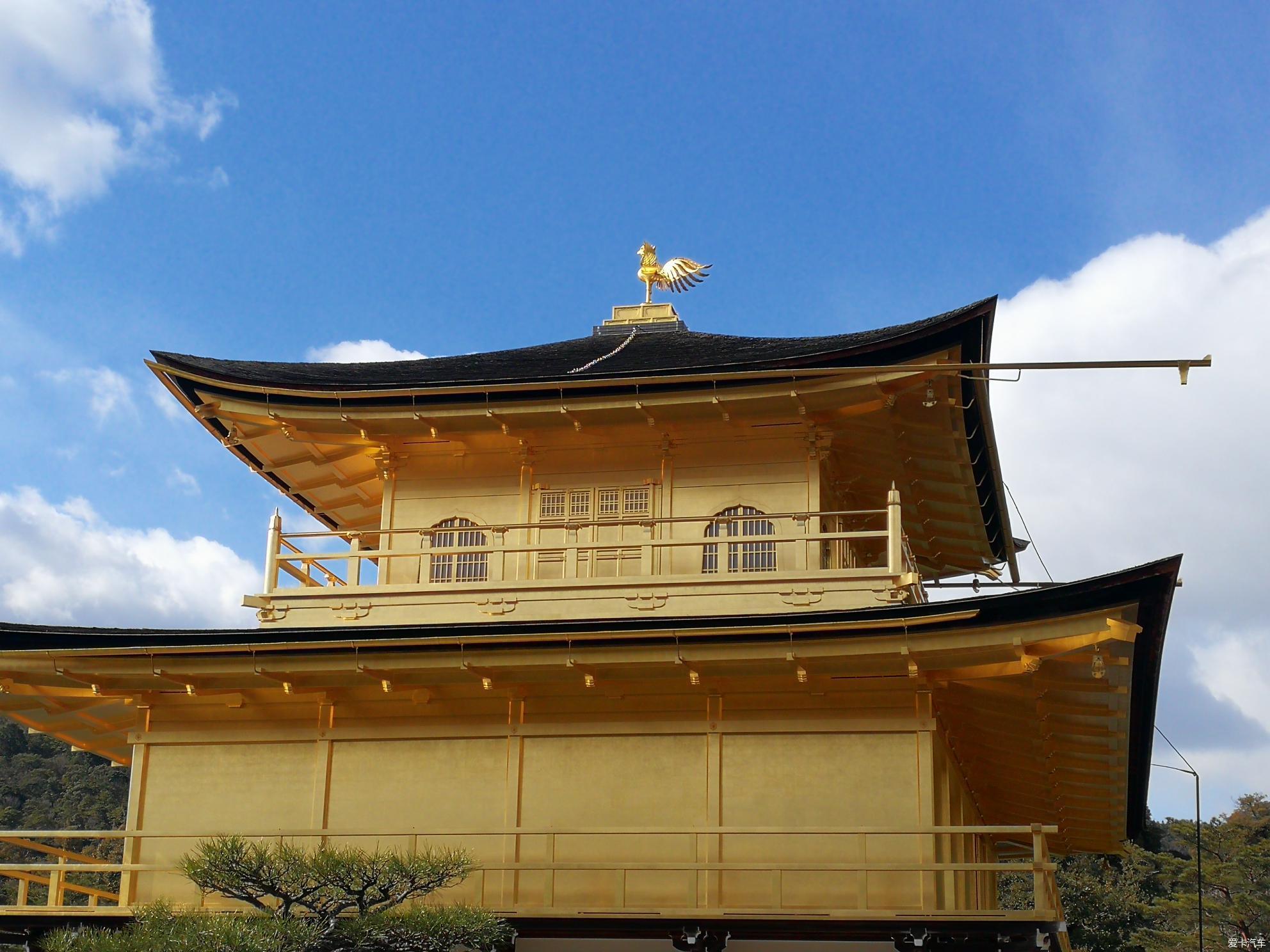 日本游花絮聪明的一休住过的安国寺