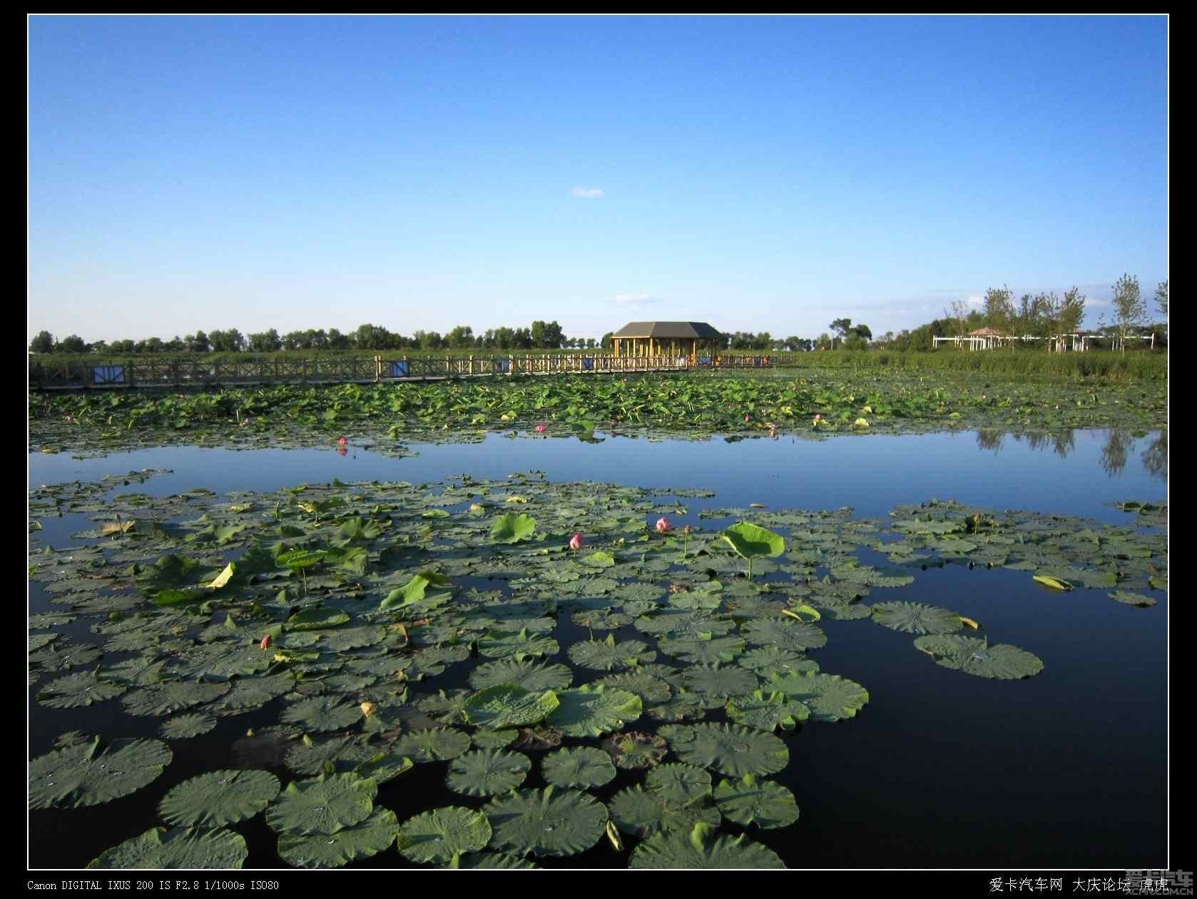 标题:水润黑鱼湖-大庆黑鱼湖生态景区及简单路书