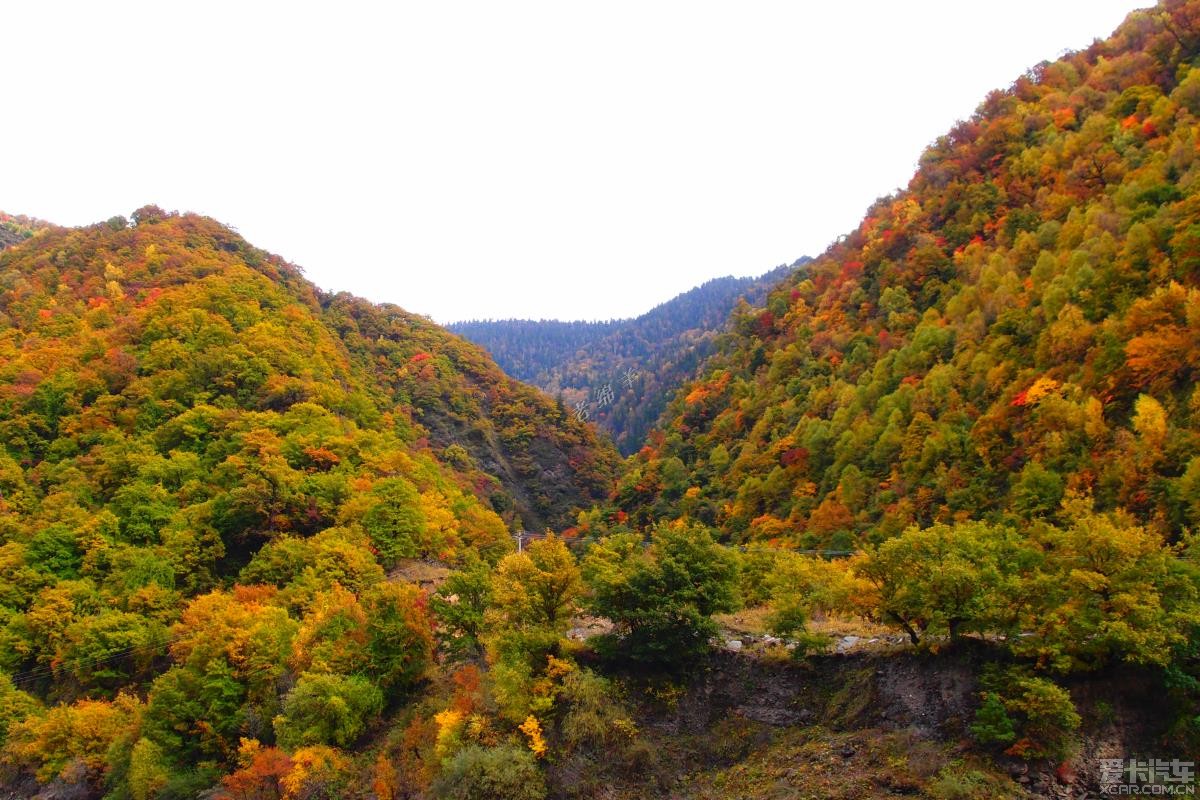 10月23日,黑水卡龙沟的雪山,彩林两天之旅,人均花费300多大洋.