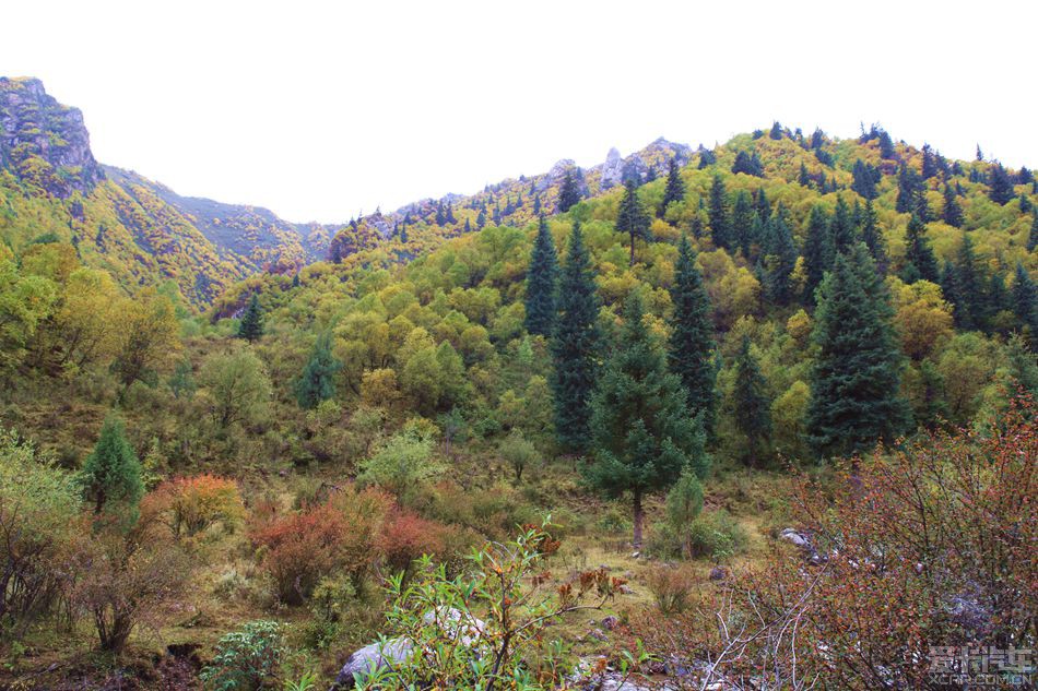 互助北山甘冲沟风景