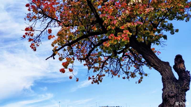十月出去采风，和林县杏花园。