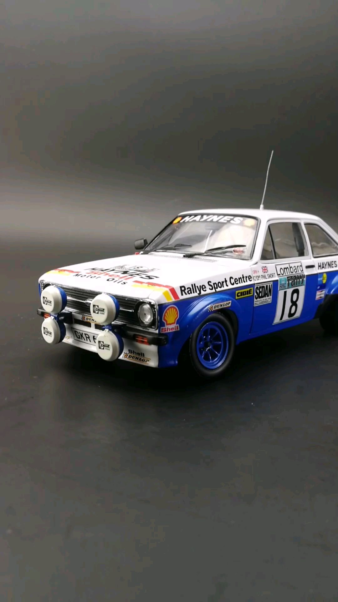 1979福特拉力赛车escort rs1800,1:18,东晓汽车模型收藏馆藏品.