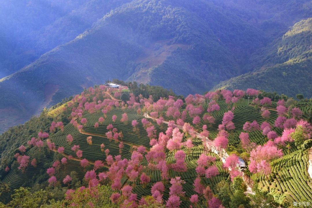 国内春季必去的美景系列