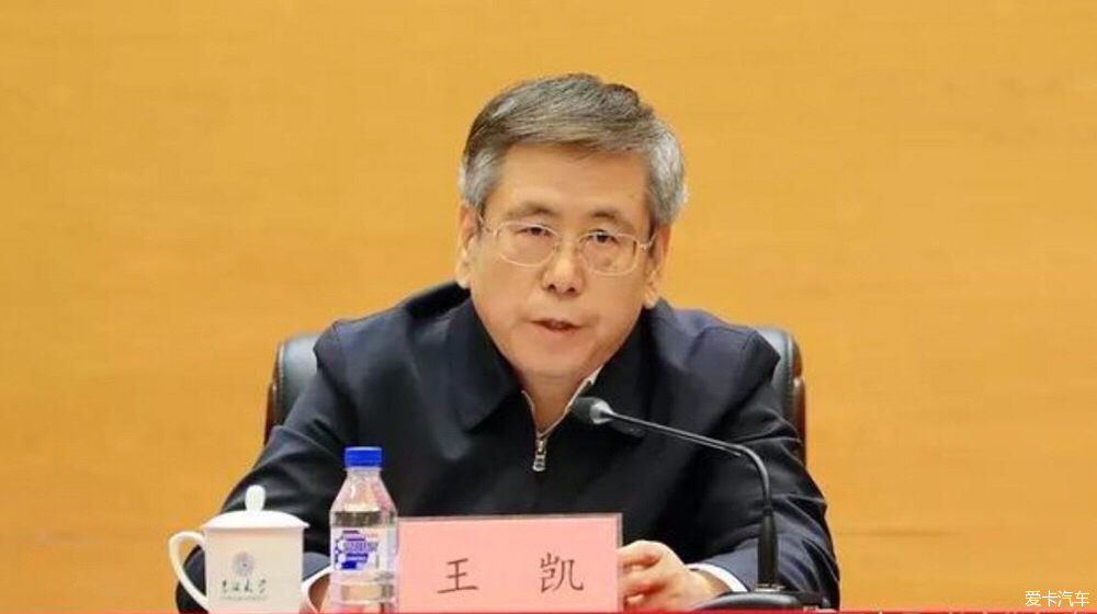 王凯任河南副省长代理省长
