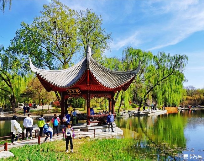 畅游北京陶然亭公园的华夏名亭园,春光无限