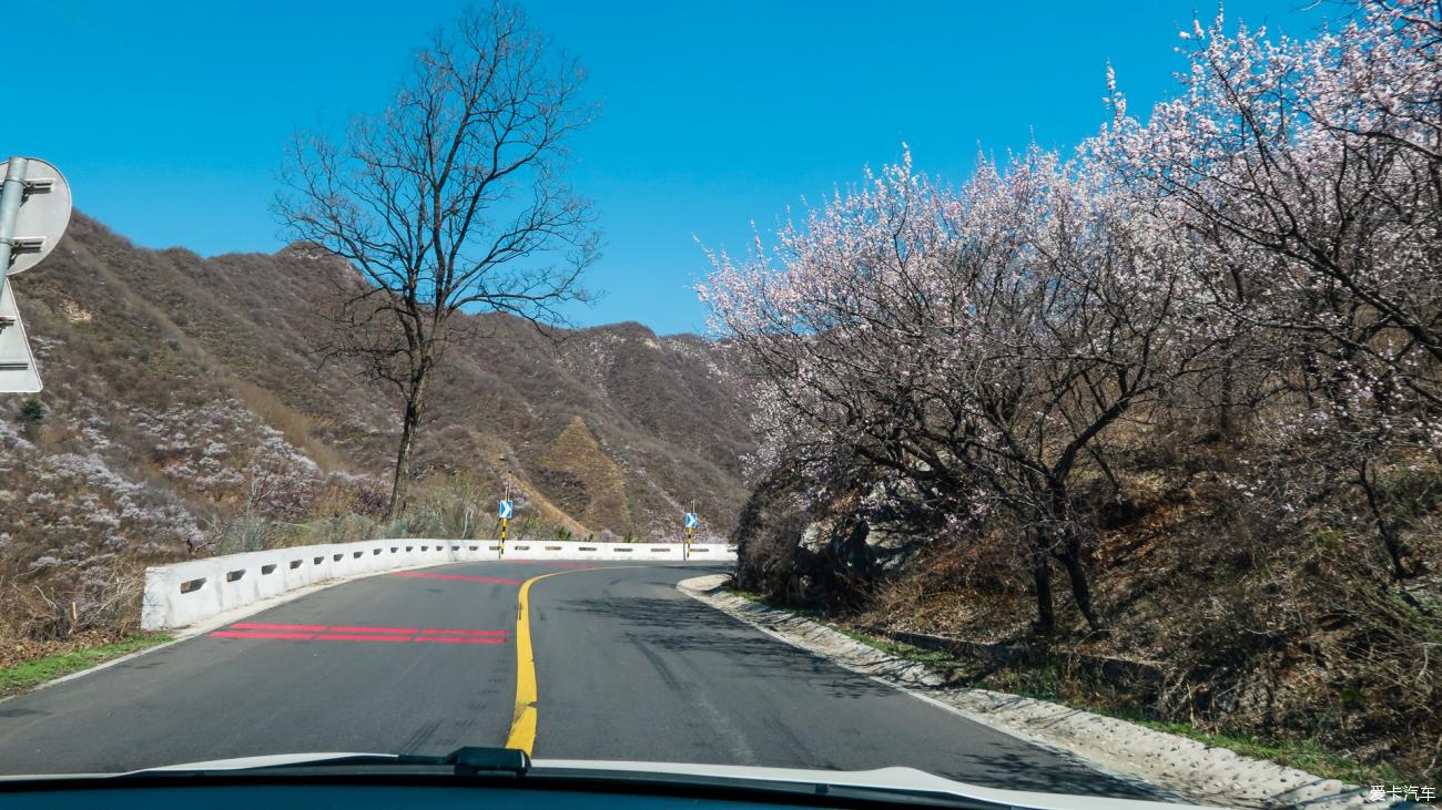 昌赤路延琉路花开一路