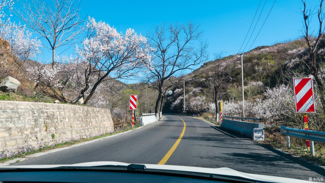 昌赤路延琉路花开一路