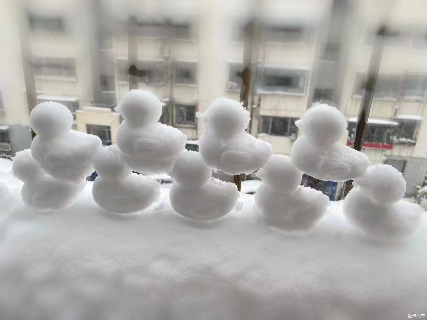 大富翁雪花飘飘