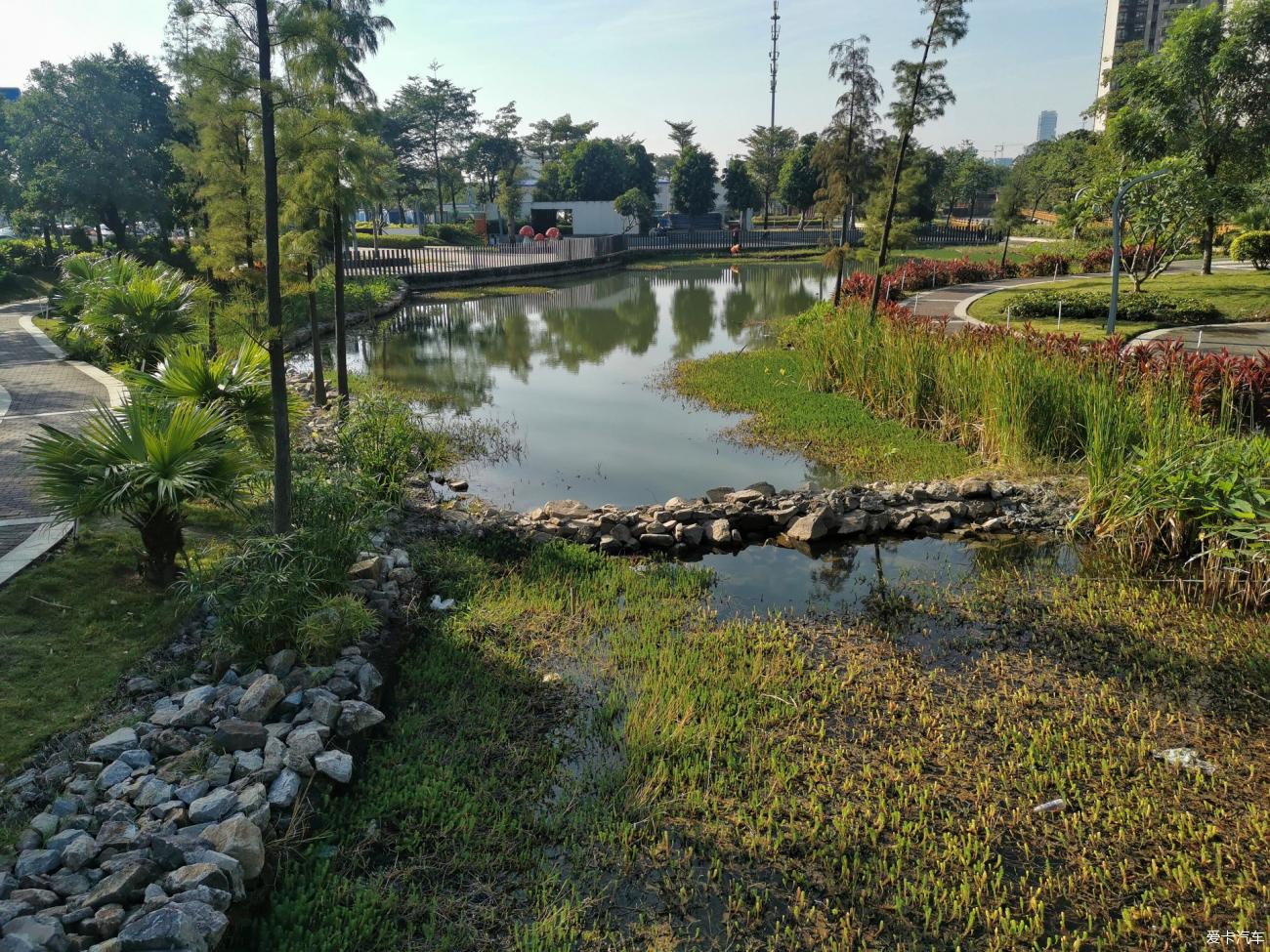 小能手佛山市奇槎滨水公园