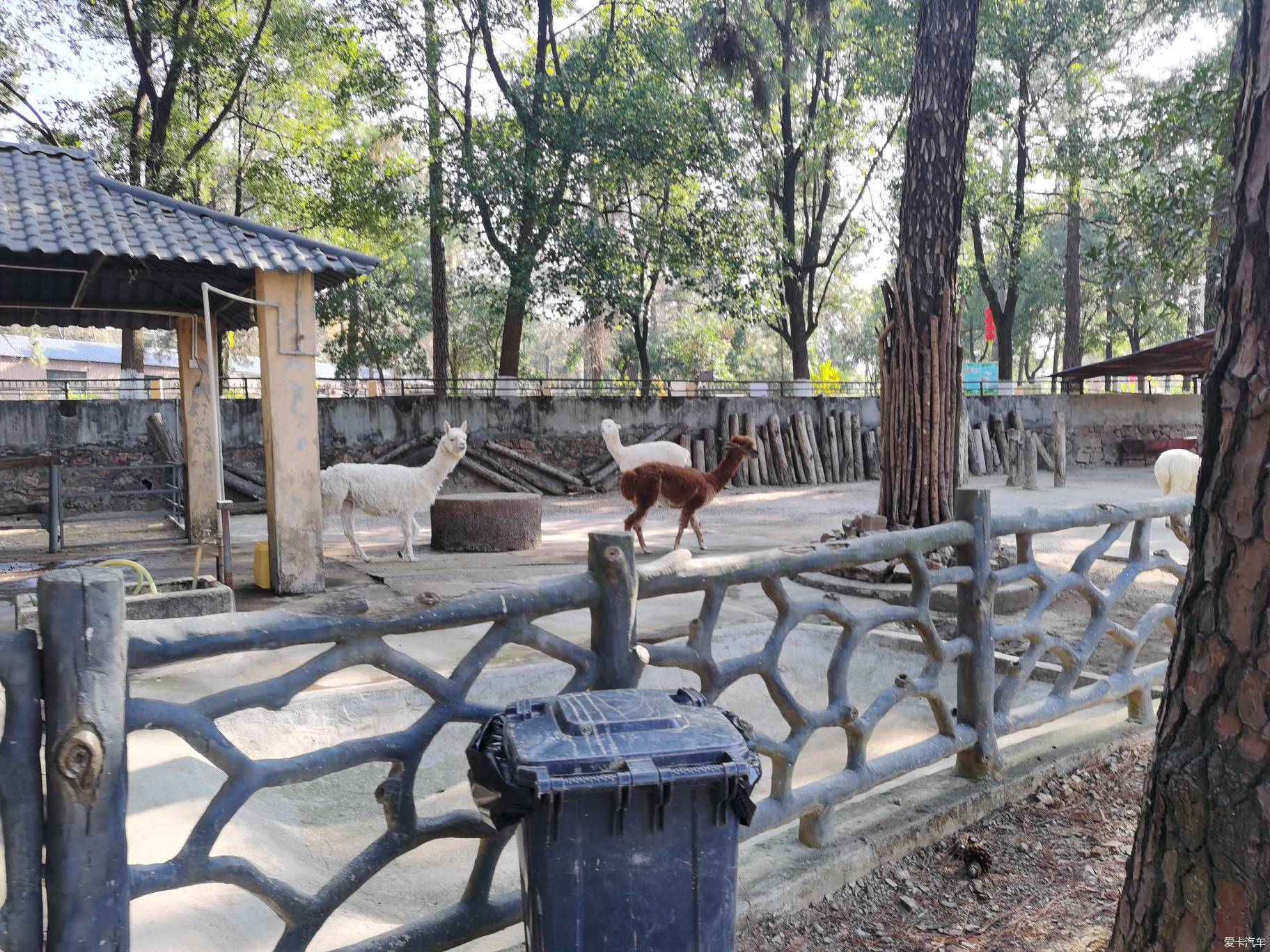 大富翁深秋的武汉九峰森林动物园中