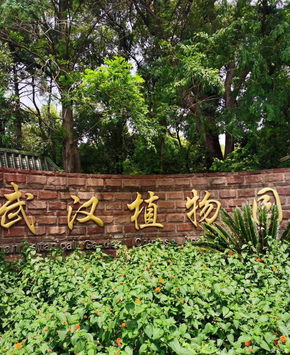 【加油追梦人】武汉植物园一游