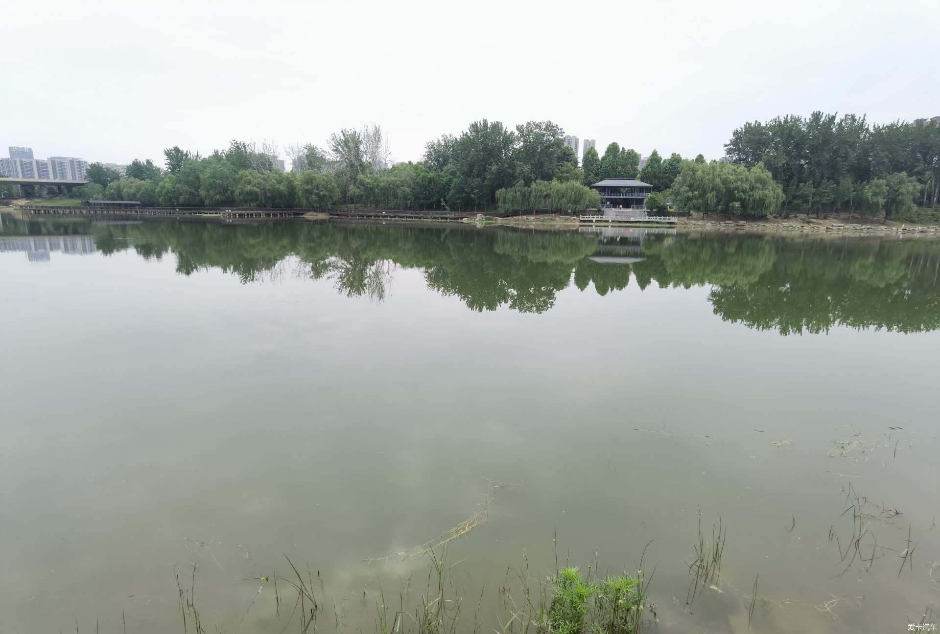 【春与夏之精】西流湖公园映像(一)