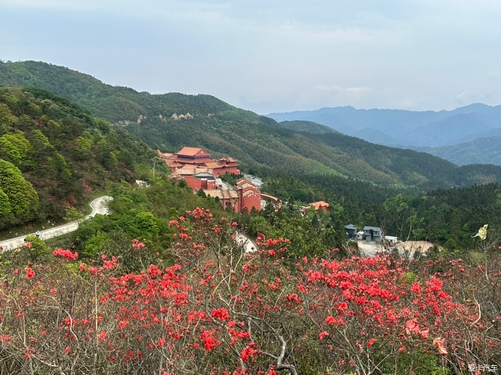 初夏阳明山游记