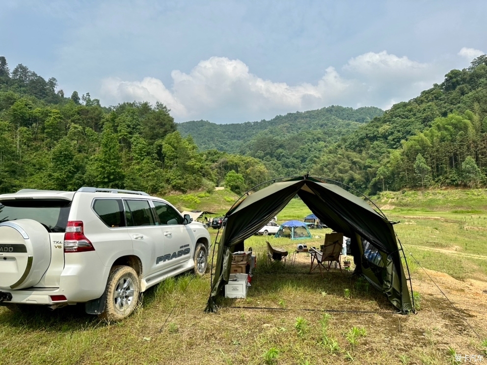 初夏另一道风景