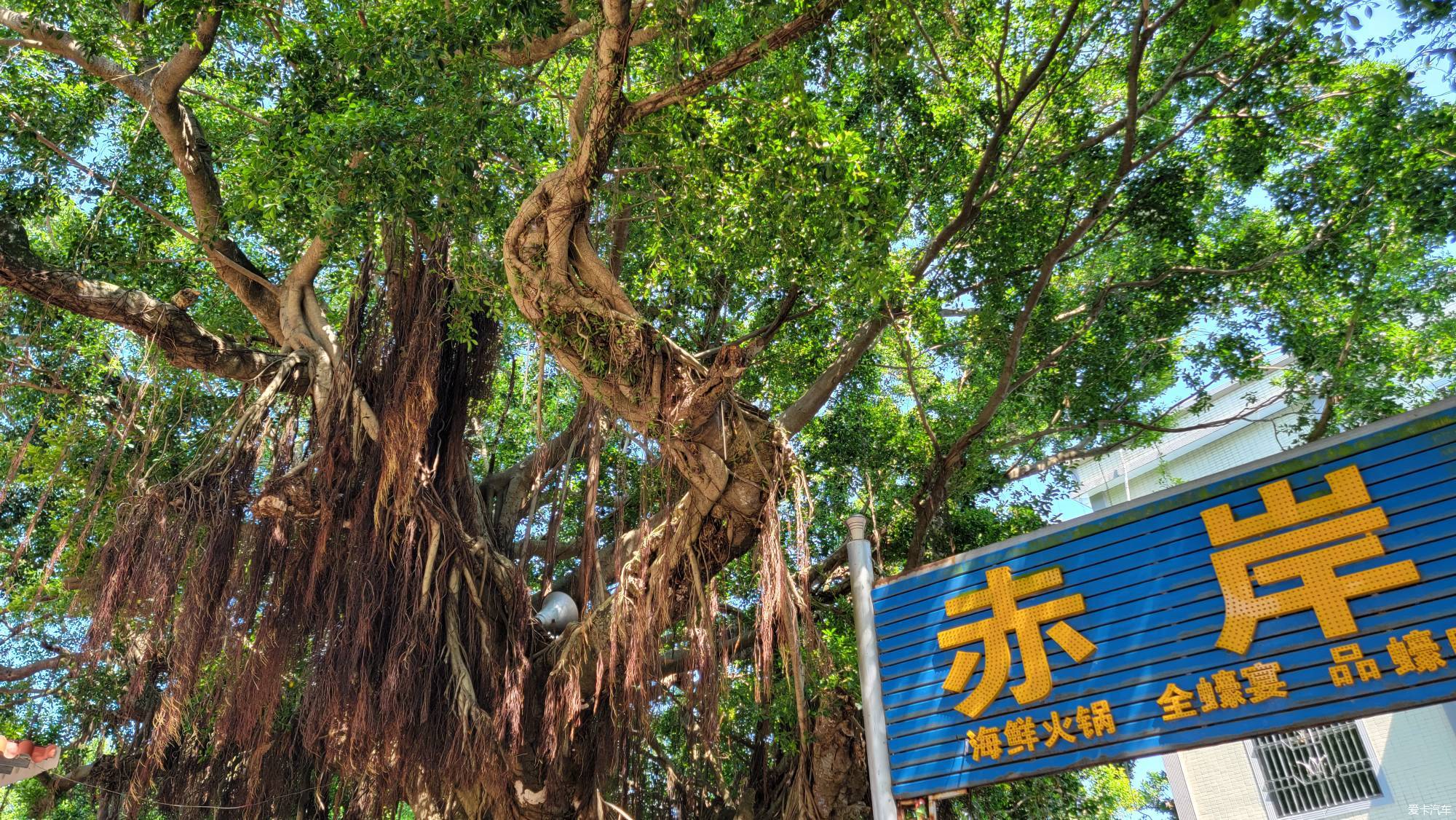 惠东赤岸村蚝乡