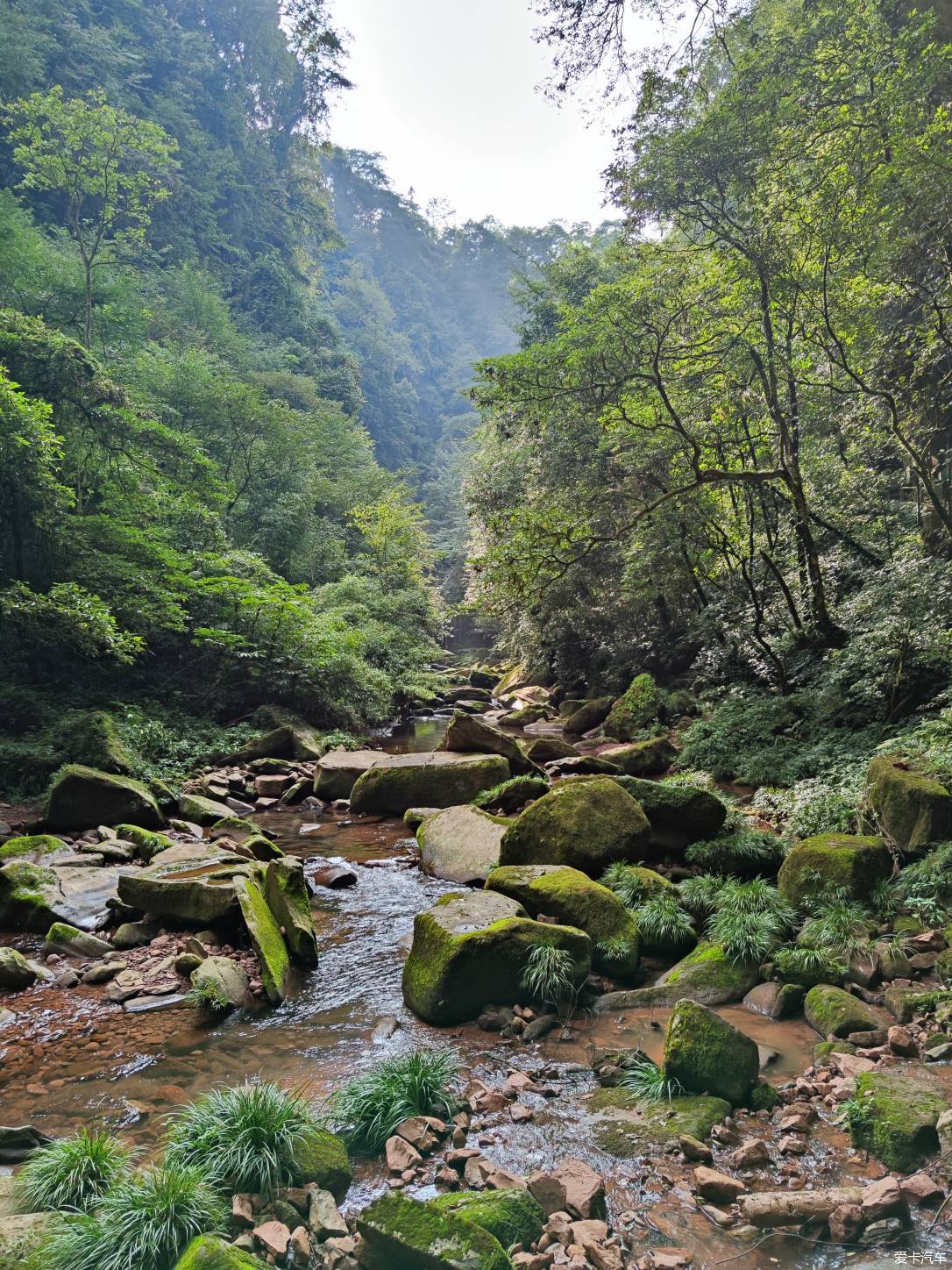 再游碧峰峡