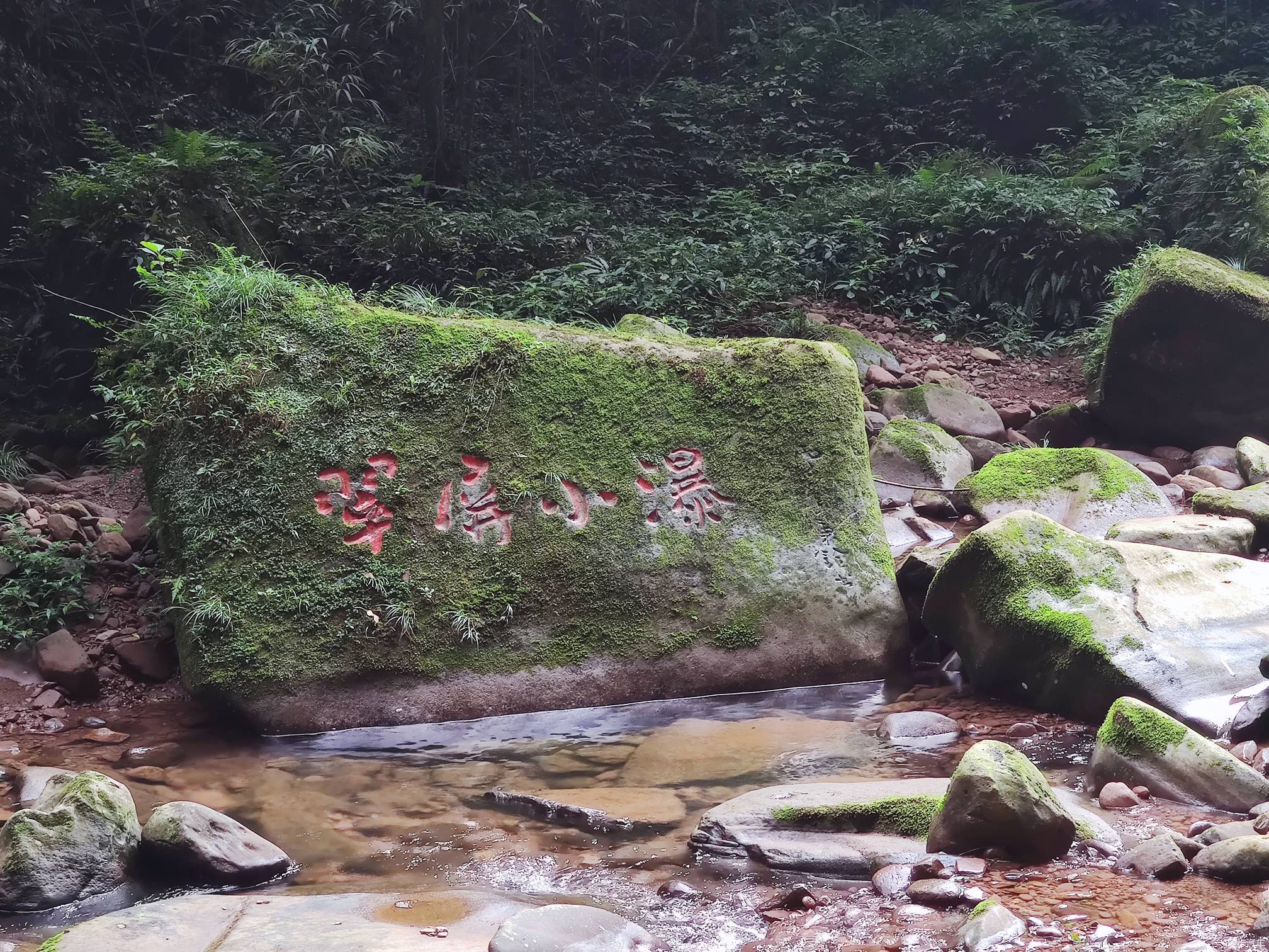 再游碧峰峡