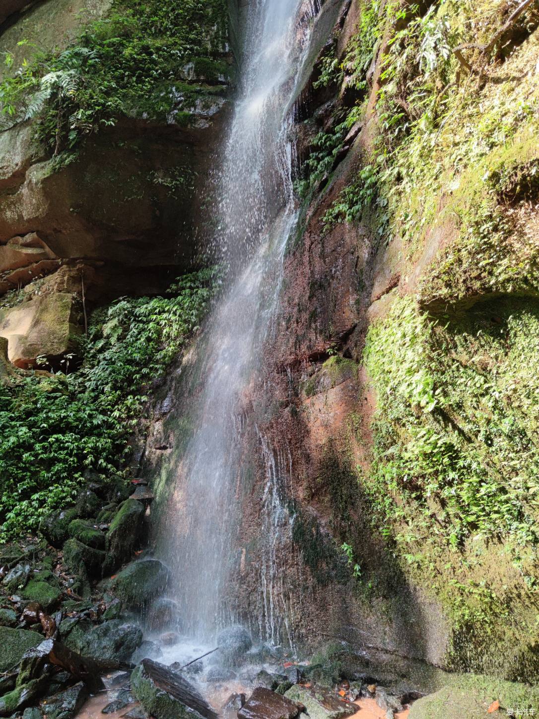 再游碧峰峡