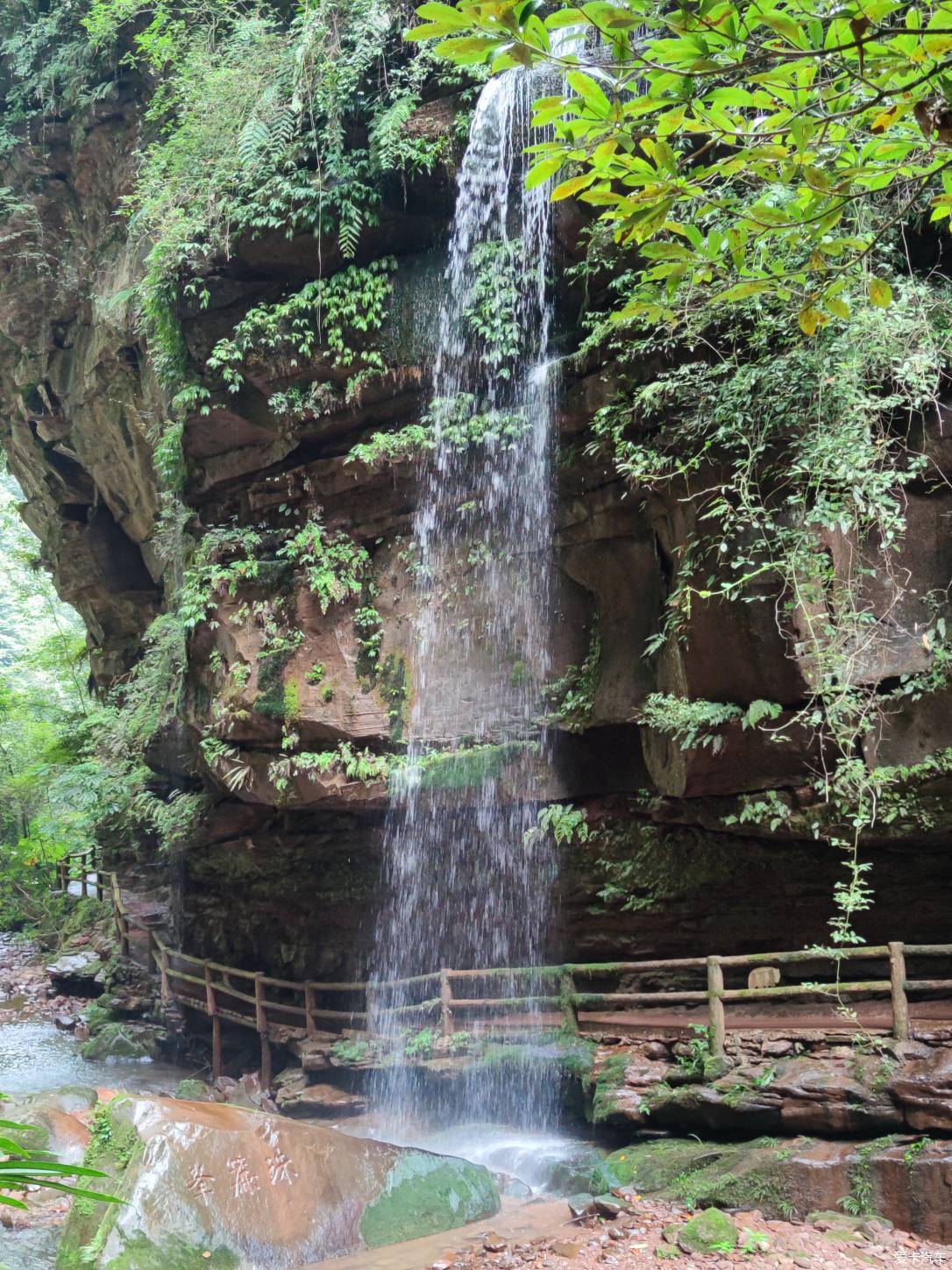 再游碧峰峡