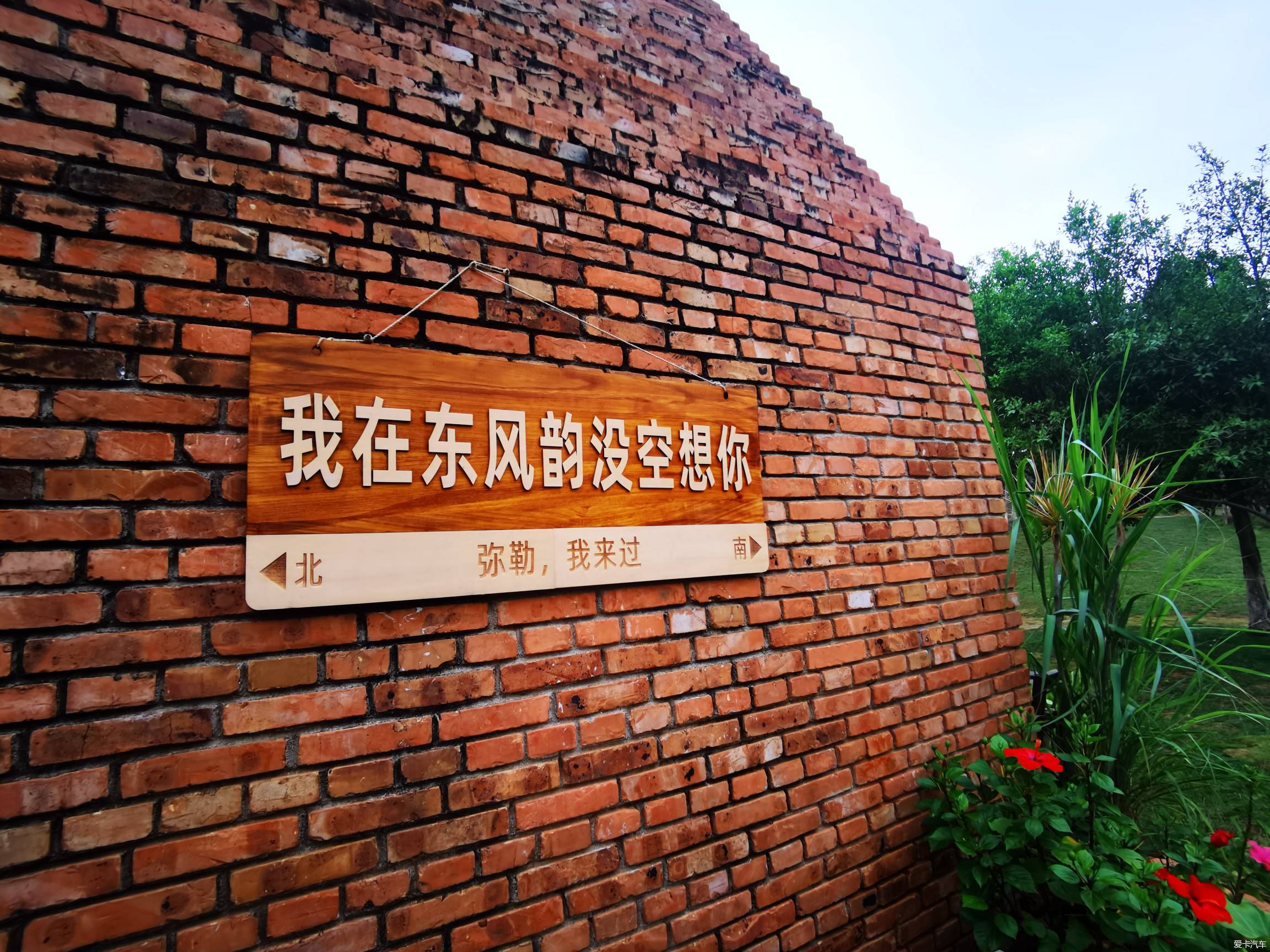 打卡东风韵