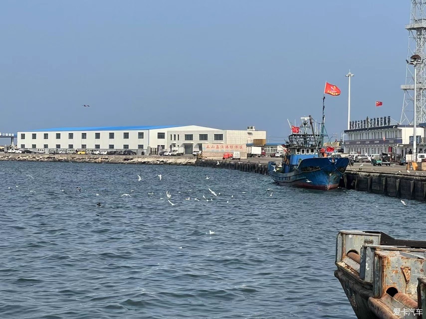 山东潍坊浞河--莱州河套湿地公园--莱州三山岛及公路随拍