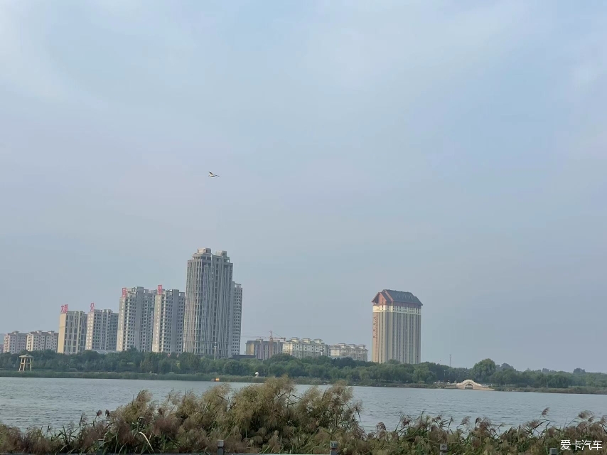山东潍坊浞河--莱州河套湿地公园--莱州三山岛及公路随拍