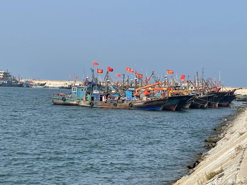 山东潍坊浞河--莱州河套湿地公园--莱州三山岛及公路随拍