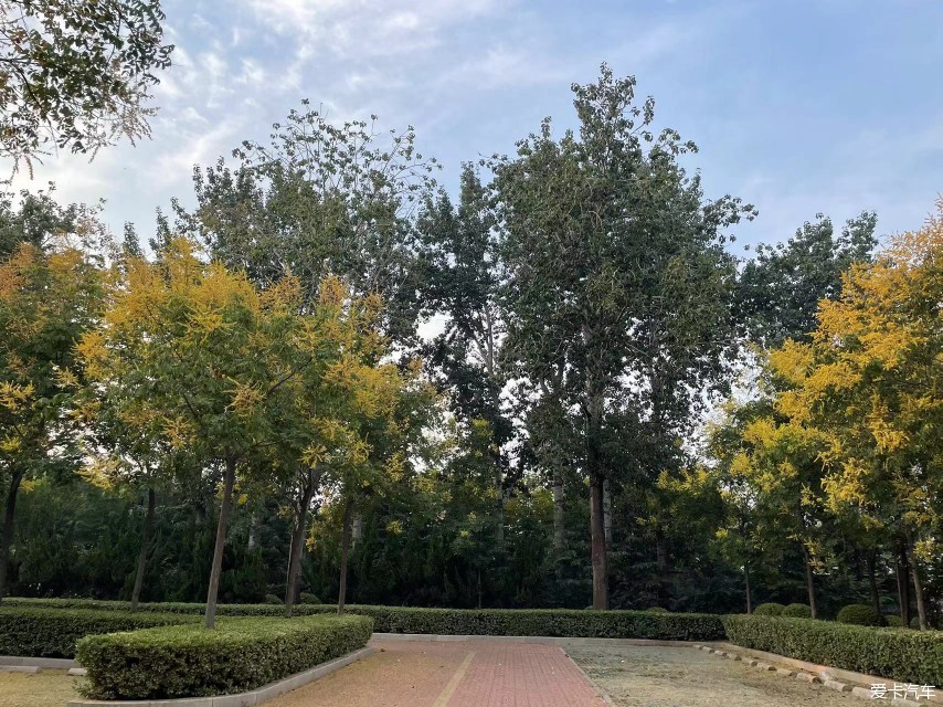 山东潍坊浞河--莱州河套湿地公园--莱州三山岛及公路随拍