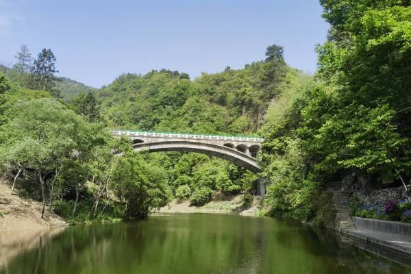 【春与夏之记】问道之旅∽武当山逍遥谷