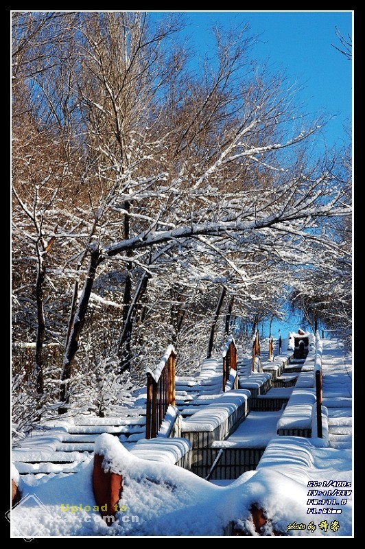 ◆◆有关雪景拍摄的一点体会和大家探讨◆◆ 