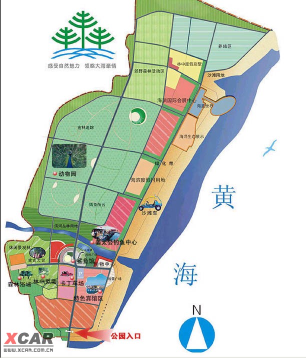 日照海滨国家森林公园,前身为鲁南海滨国家