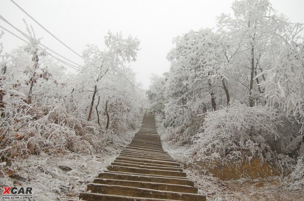 2008年1月20日  同行6人冒雪登上号称"小峨嵋"的遵义金鼎山,小拍雪景
