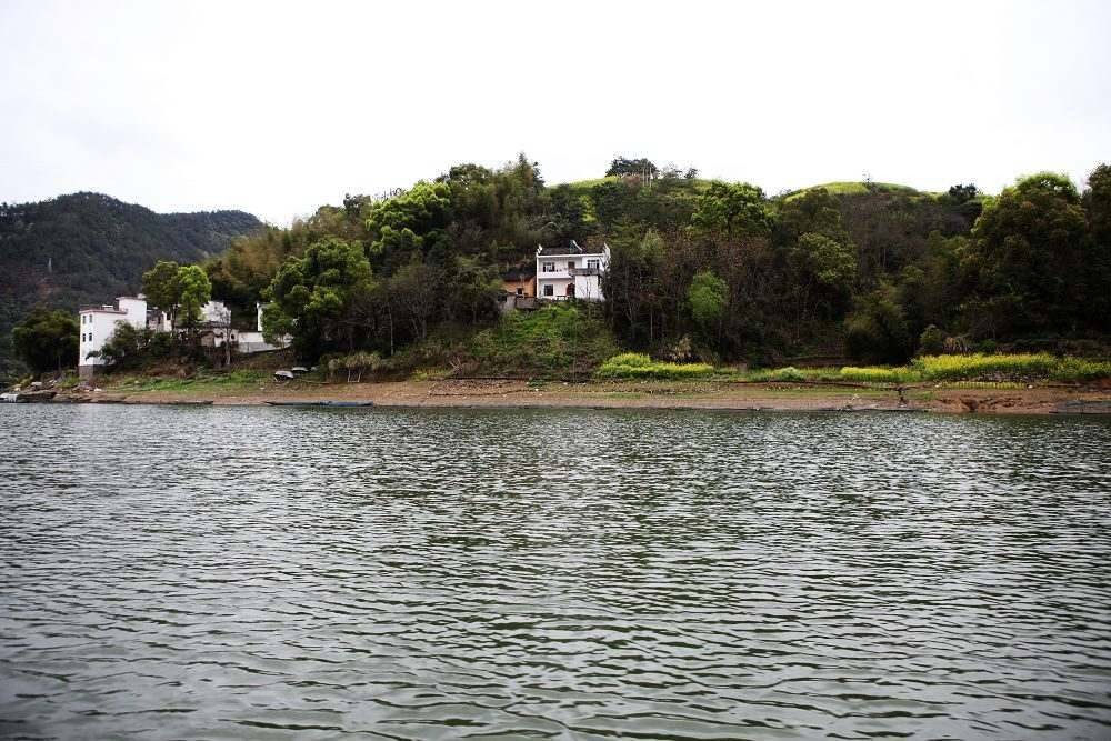 烏篷船遊新安江山水畫廊,煙雨濛濛觀下tai油菜花景