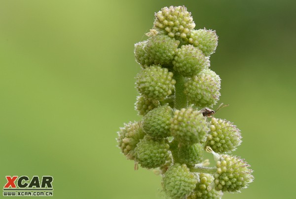 花花世界(第八季)精华