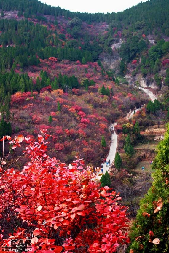 丁家峪图片