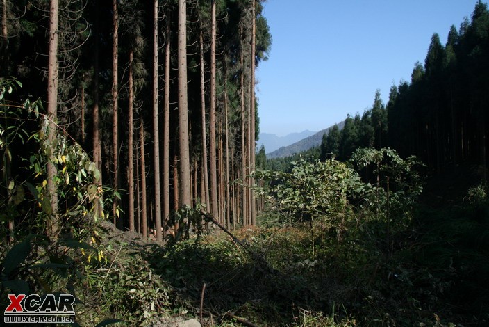 崇州雞冠山原始森林徒步遊記!以後開發成旅遊區出來就沒發徒步了!