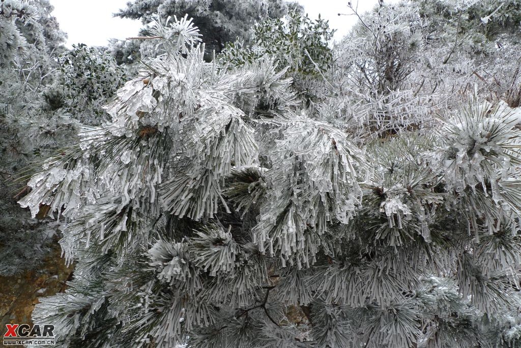 临海括苍山雪景图片