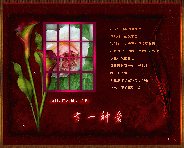 有一种爱