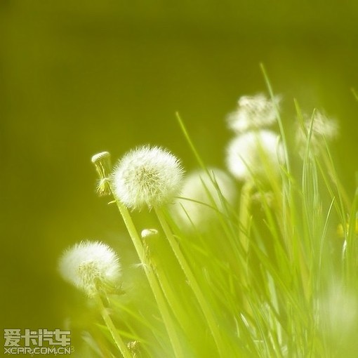 20100908_3fcdf1d4c69d4b20f72dpYniRBlSPXXY.jpg