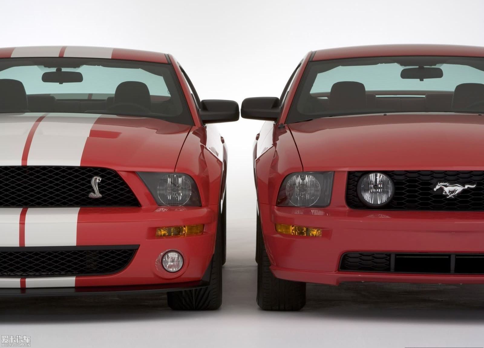 【圖】2005款 福特(svt改裝) 野馬眼鏡蛇 shelby gt500展覽版_7_福特