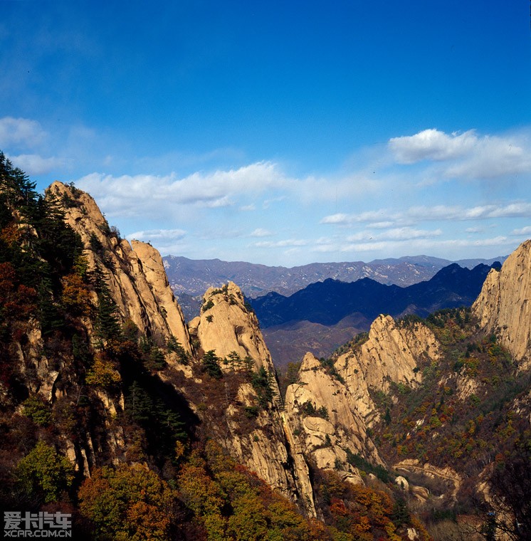 北京終於晴天了,霧靈山上小k撒歡兒!