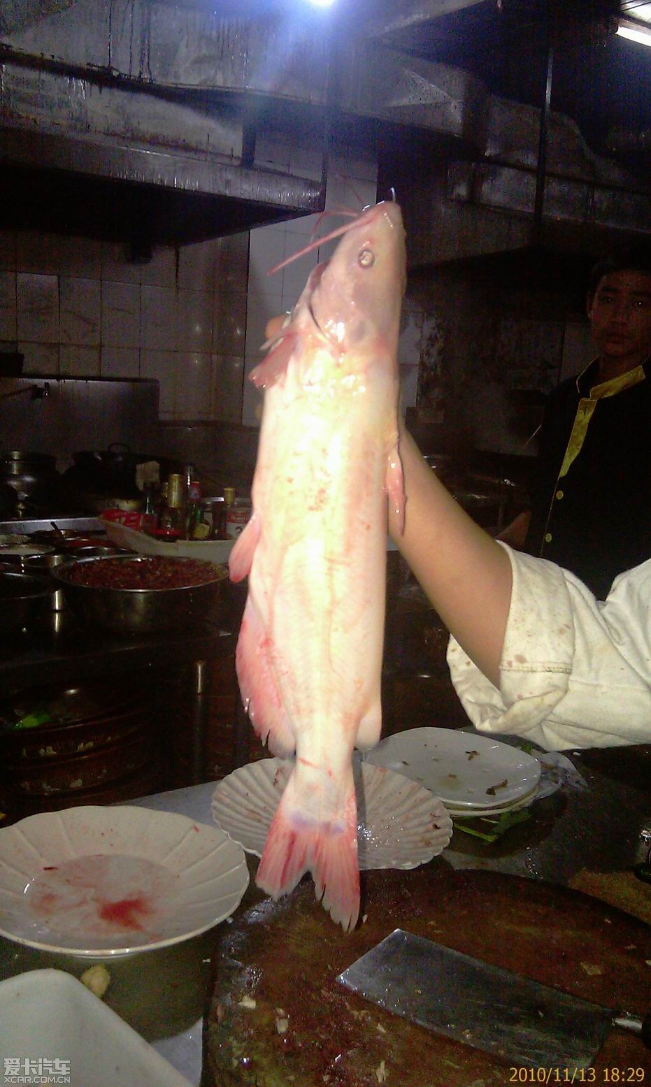 三江鱼到底是什么鱼图片