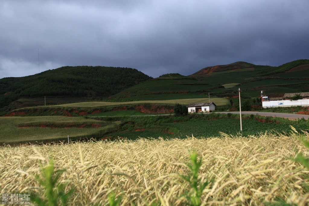 起亞霸銳獨行雲南昆明東川紅土地(1/61)