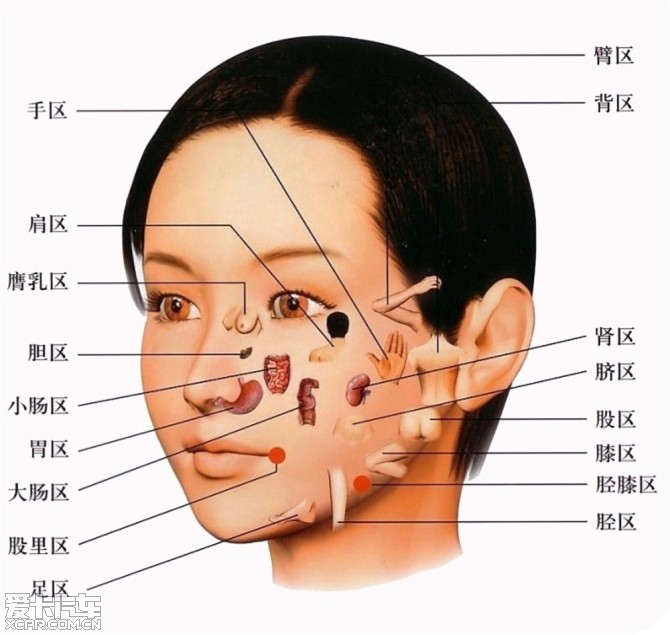 咸池在脸上怎么看图片图片