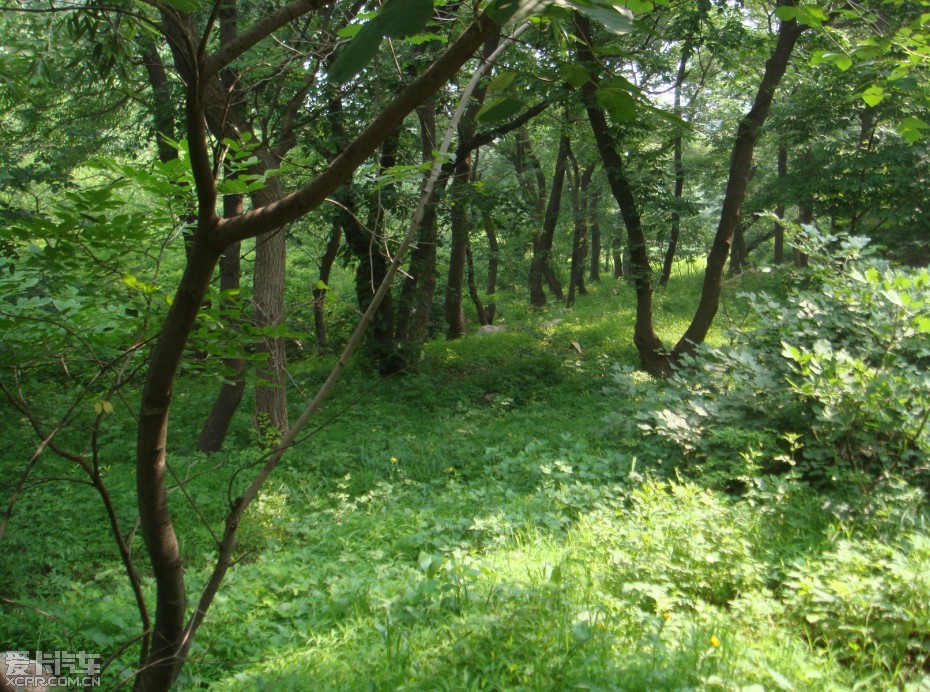 小城山中----雙龍寺,養蜂人家和果園