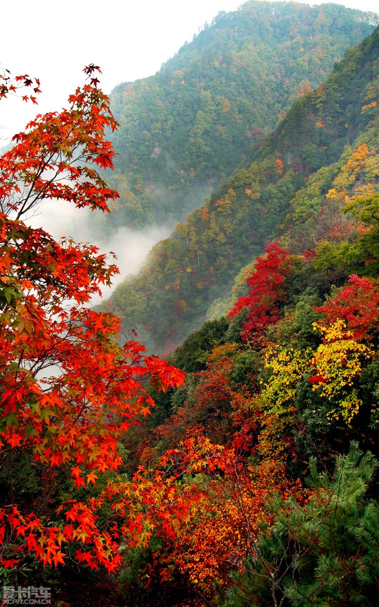 10月底去光雾山拍红叶