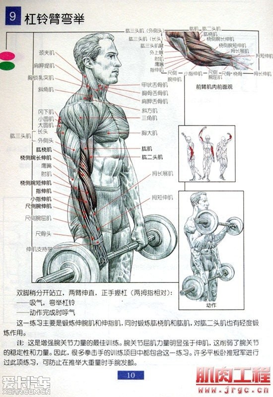 肌肉锻炼图解男人必看